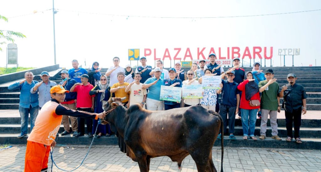 Sapi Qurban IPCC Siap Dibagikan Kepada Masyarakat Lingkungan Kerja IPCC