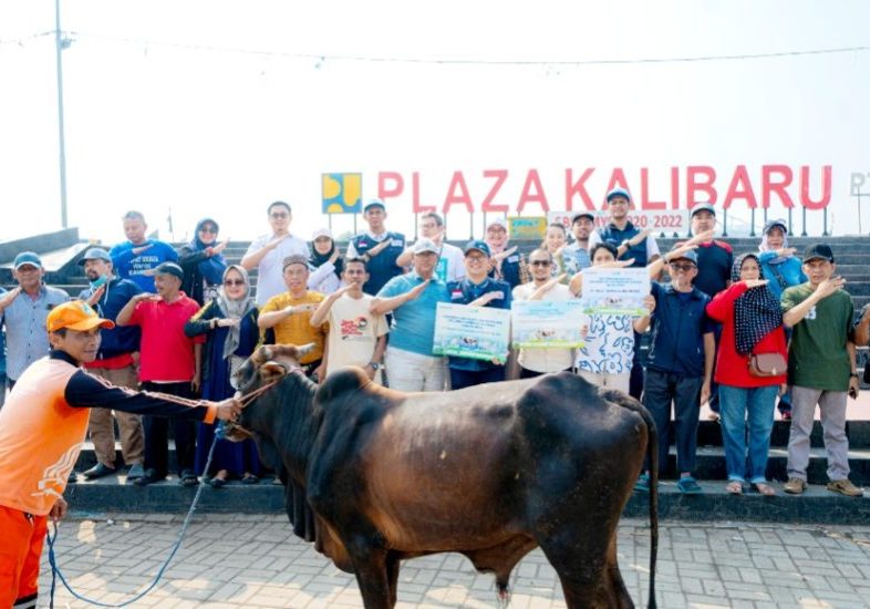 Sapi Qurban IPCC Siap Dibagikan Kepada Masyarakat Lingkungan Kerja IPCC